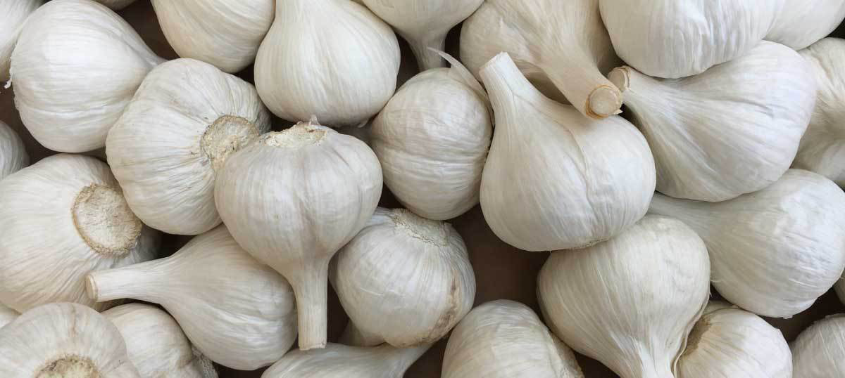にんにく